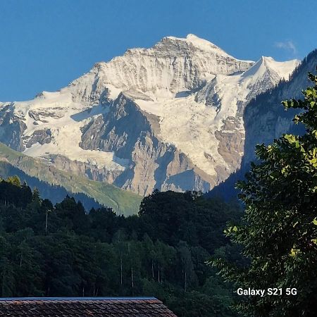 Mountain - Lake Apartment 3 Wilderswil Buitenkant foto
